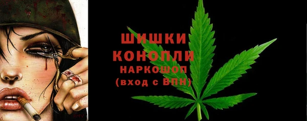 гидра Чегем