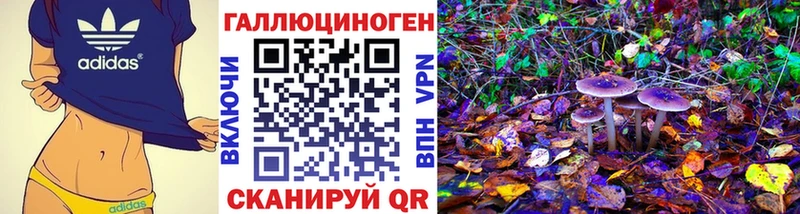 Псилоцибиновые грибы GOLDEN TEACHER  Корсаков 